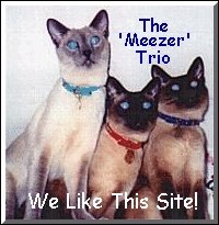 Meezer Trio's We Like this Page Award