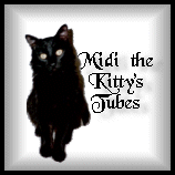 Midi the Kitty's Tubes