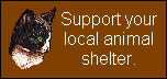 Support Your Local Animal Shelter